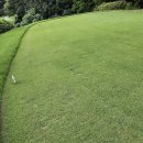 삼남개발 | 기흥cc 남 동 코스 라운드 후기