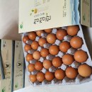 골드팜 이미지