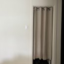 도그루밍 | 헤이데얼 오픈 일기!!