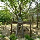 자연의 소리 이미지