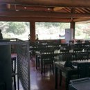 산속의친구 이미지