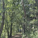 원주굽이길 5코스 버들만이길 | 강원도 원주 등산, 원주 배부른산, 이른 가을 등산 기록