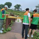 일죽 청미천 이미지