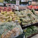 홈할인마트 이미지