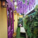 쏭타이치앙마이 | 신용산 맛집 추천 | 맛있는 태국음식 '쏭타이 치앙마이' 후기