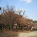 H8022 이미지