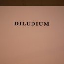 딜루디움 이미지