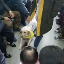 봄나드리투어 이미지