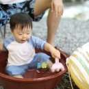 새밭민박 이미지