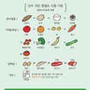 95일차 청내부1기=콩콩볼다이어트 Mission 2 지식습득편-산수식단,홈짐,몸꽝멸종프로젝트 :D (보식6일차)