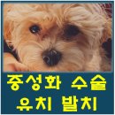 서울앤탑 동물병원 이미지