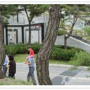 분당추모공원휴