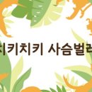 치키치키 이미지
