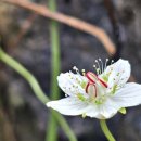 술샘짬뽕타운 이미지