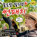 썬패치 화온 자외선차단마스크 포도밭에서 써본 기미패치 후기