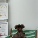 순댕이샵 이미지