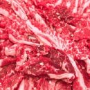 늘푸른솔밭골 이미지