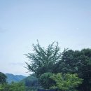 반디찜질방.사우나 | 별의바다 조동캠핑장 후기 충북 영동의 별빛 아래 조용한 쉼이 있는 감성캠핑 명소