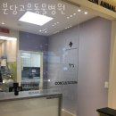 고은동물병원 | 성남 야탑동 동물병원 분당고은동물병원 위치 오는길 후기