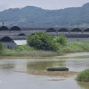 [9편] 2025년6월14일 토요일 서해랑길 41코스를 다녀와서! 이미지