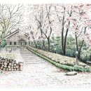 숲속의 섬 이미지