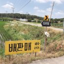 리오차드38