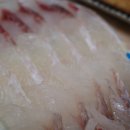 싱싱횟집 이미지