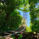 제주 반딧불 | 6월 제주 가볼만한 곳 &lt;산양큰엉곶 반딧불 축제&gt; 정보 &amp; 방문후기(6/11 방문)