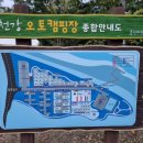 홍천강 오토캠핑장 이미지