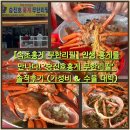 승진호홍게무한리필 | [속초 홍게 무한리필] 인생 홍게를 만나다! '승진호홍게 무한리필' 솔직 후기 (가성비 & 수율 대박)