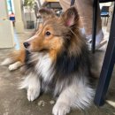 카페 포 너드 이미지