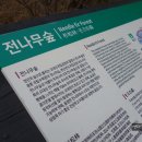 월정사 탑돌이 이미지