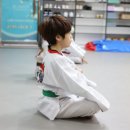 용인대 화랑 태권도 이미지