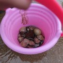 태안둘레길캠핑장 이미지