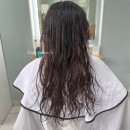살롱엘(salon L)