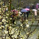 신화민박 이미지