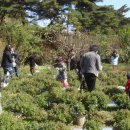 평리유치원 이미지