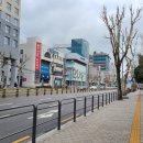 플레르뱅 이미지