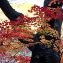 내장사 - 711 | 내장사