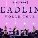 YG엔터, 블랙핑크 ‘13만원 시야 제로석’ 논란에 사과…“후속 조치 진행할 것”