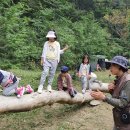 만성초등학교병설유치원 이미지