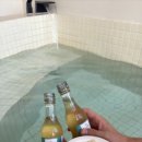 알리스테이 이미지