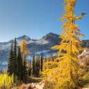 Maple Pass Loop 이미지