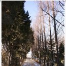 건우아파트경로당 | [20110113]&#39;관악산 둘레길 1ㆍ2ㆍ3구간 이어걷기&#39;를 다녀오다 - 4부