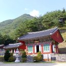 인삼골오토캠핑장 이미지