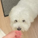 뷰티스튜디오브이피