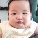 따듯한오후낮잠소리 | 4개월 아기 수면교육 성공 후기｜침대 눕혀 재우기 (퍼버법·낮잠·밤잠 루틴)