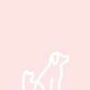 댕냥키친 이미지