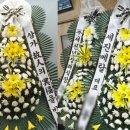 새천년병원 이미지