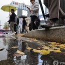 연세미앤필의원 이미지